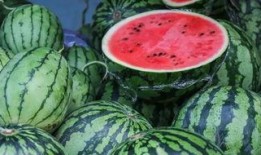 新疆网红吃瓜事件后续,真相发酵，网络舆论再掀波澜